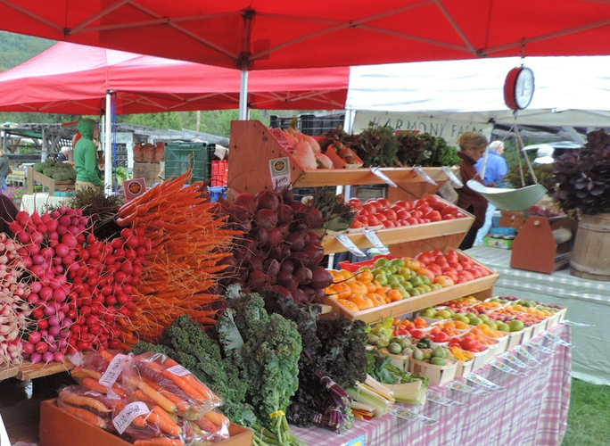 Chapman's Store Fairlee Vermont