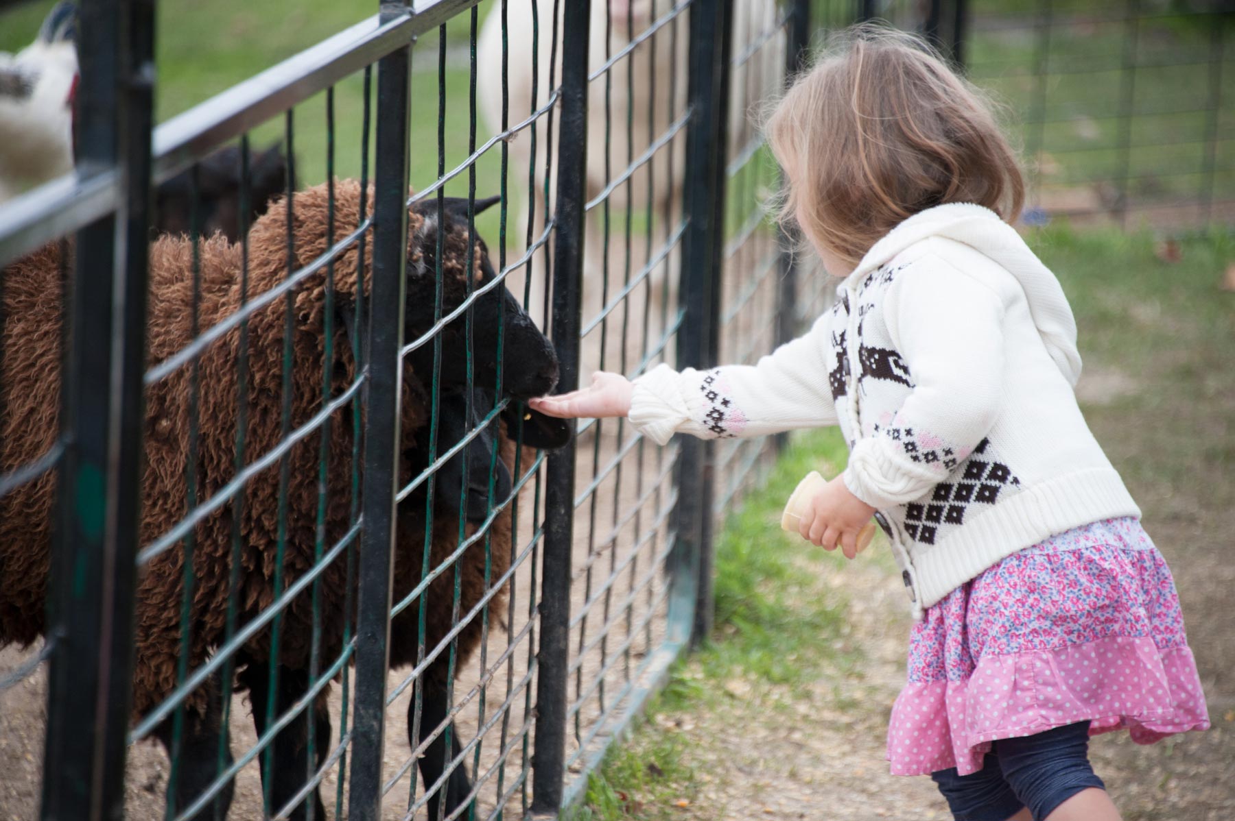 Chappell Farms Barrie Family Fun Fall and Spring Festivals