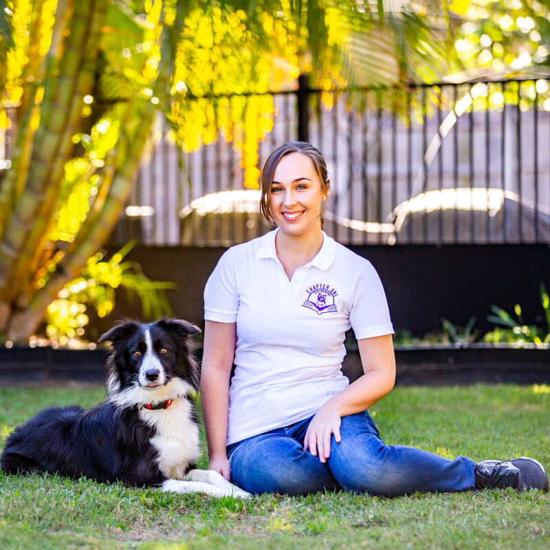 Dog Training Brisbane Small Group Dog Training Chapter One