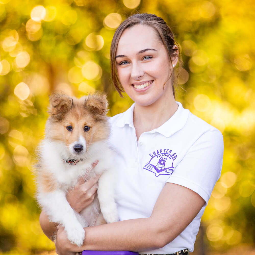 About Us Chapter One Dog Training