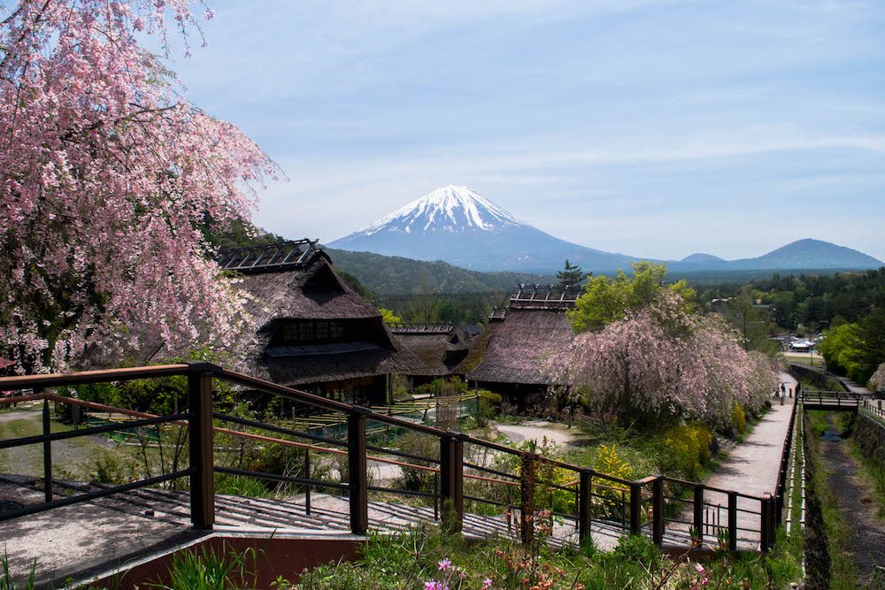 The train, the bus or join a tour. A Day Trip to Mount Fuji from Tokyo