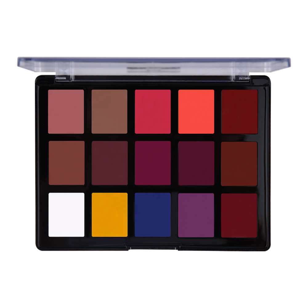 15 Color Lip Define Palette DDL001 Character Cosmetics