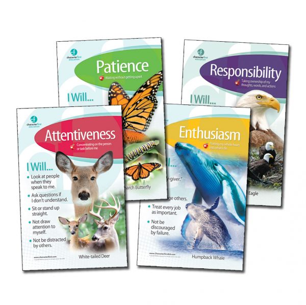 Elementary Curriculum Poster Digital Download Annual Print License