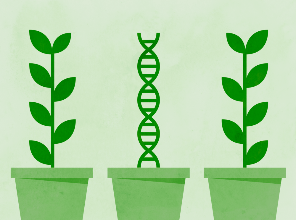 Nature versus Nurture Character Lab
