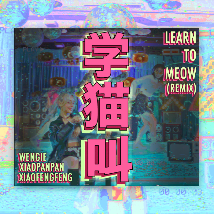 'Learn To Meow' With Australian YouTuber And Musician