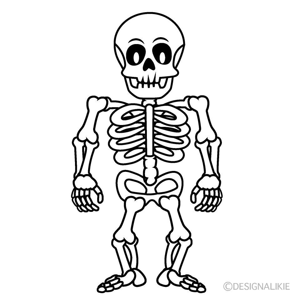 Cartoon Skeleton Drawings Esqueleto Skelet Skelett Dibujos Tecknad