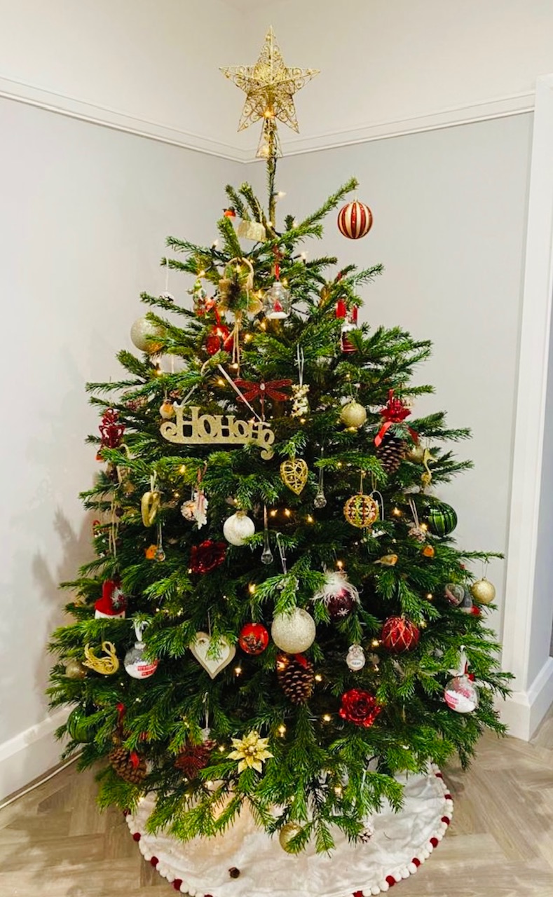 Premium NORDMAN FIR CHRISTMAS TREE 6FT 7FT
