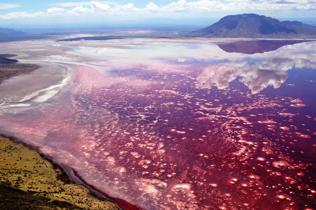 Soda and Salt Lake Natron in Tanzania Charismatic