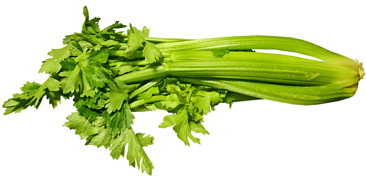 Celery Helps to Calm the Nerves Naturally