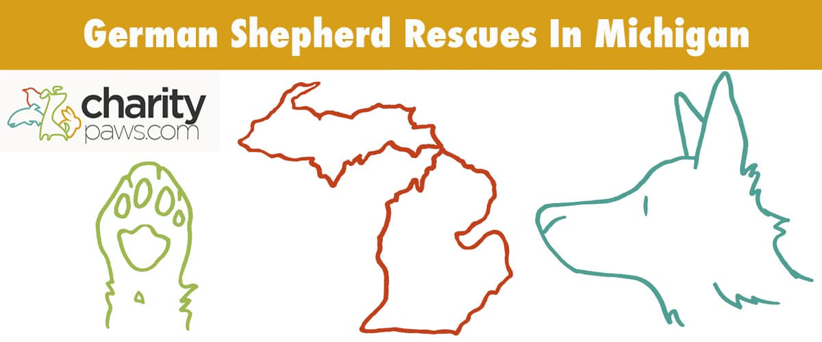 German Shepherd Rescues In Michigan 6 Rescues To Contact