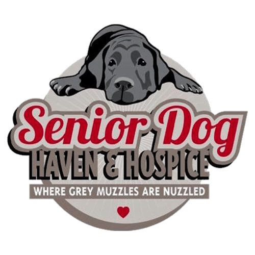 Dog Rescues In Delaware 12 Rescues To Adopt From