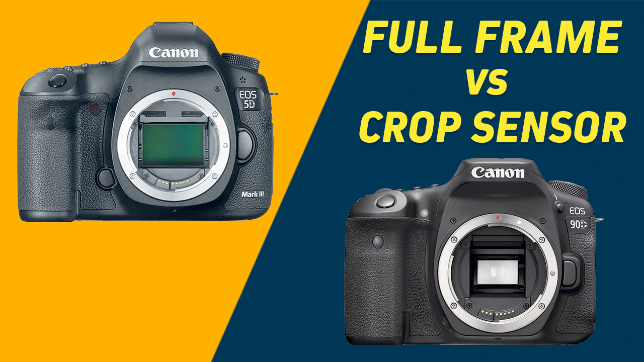 Canon Crop Sensor Cameras Canon 90d Crop Factor 2025