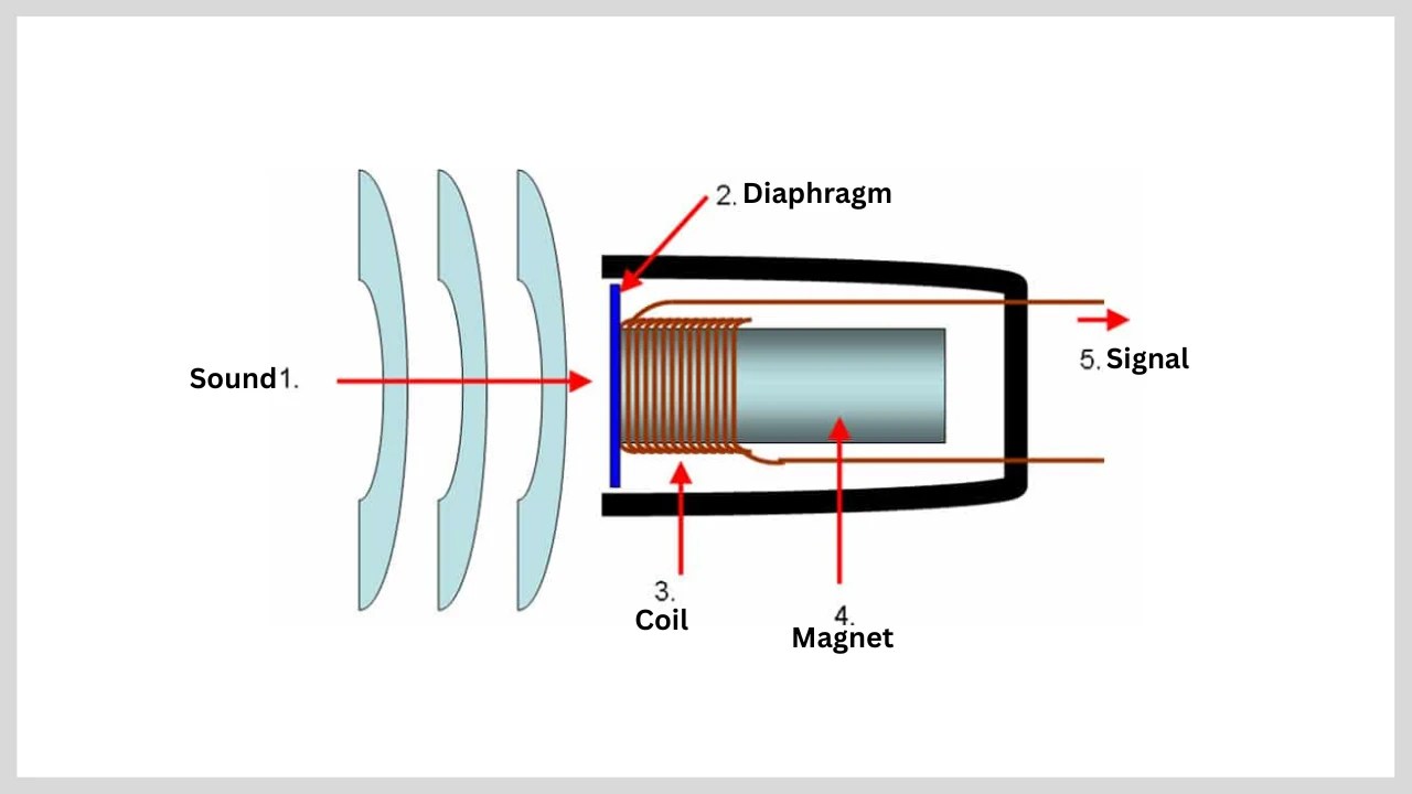 Parts of a Microphone The Unique Dynamic Microphone (2024)