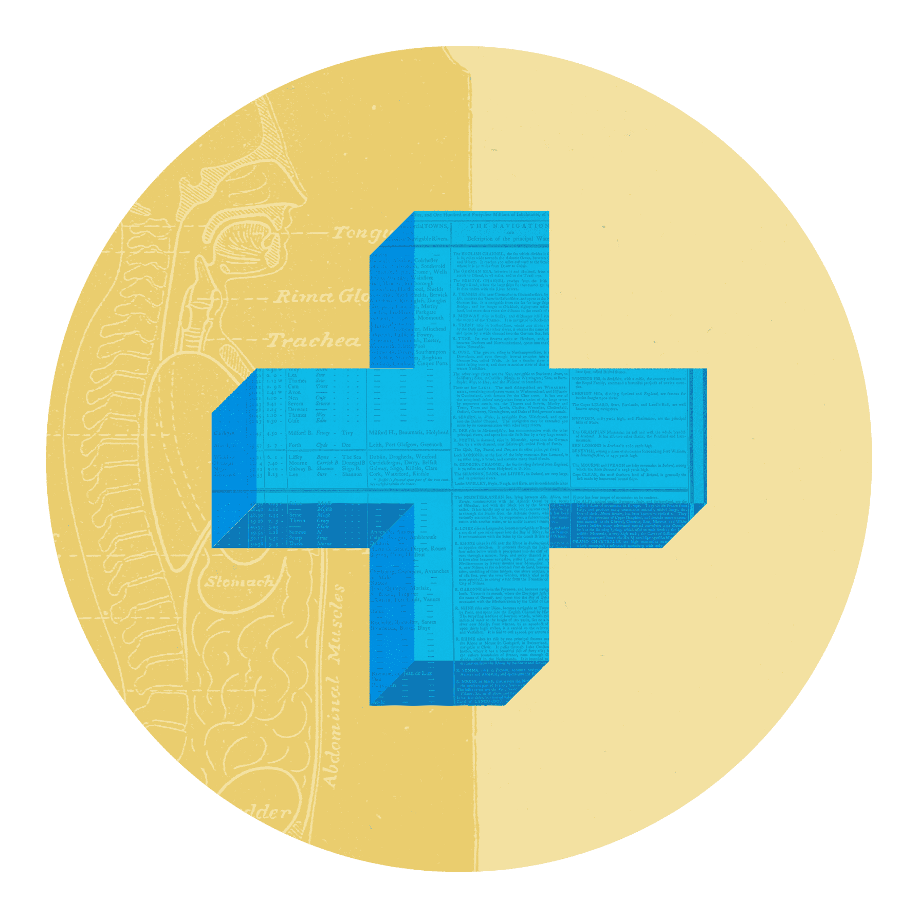 Social Impact Research Grants Charles Koch Foundation