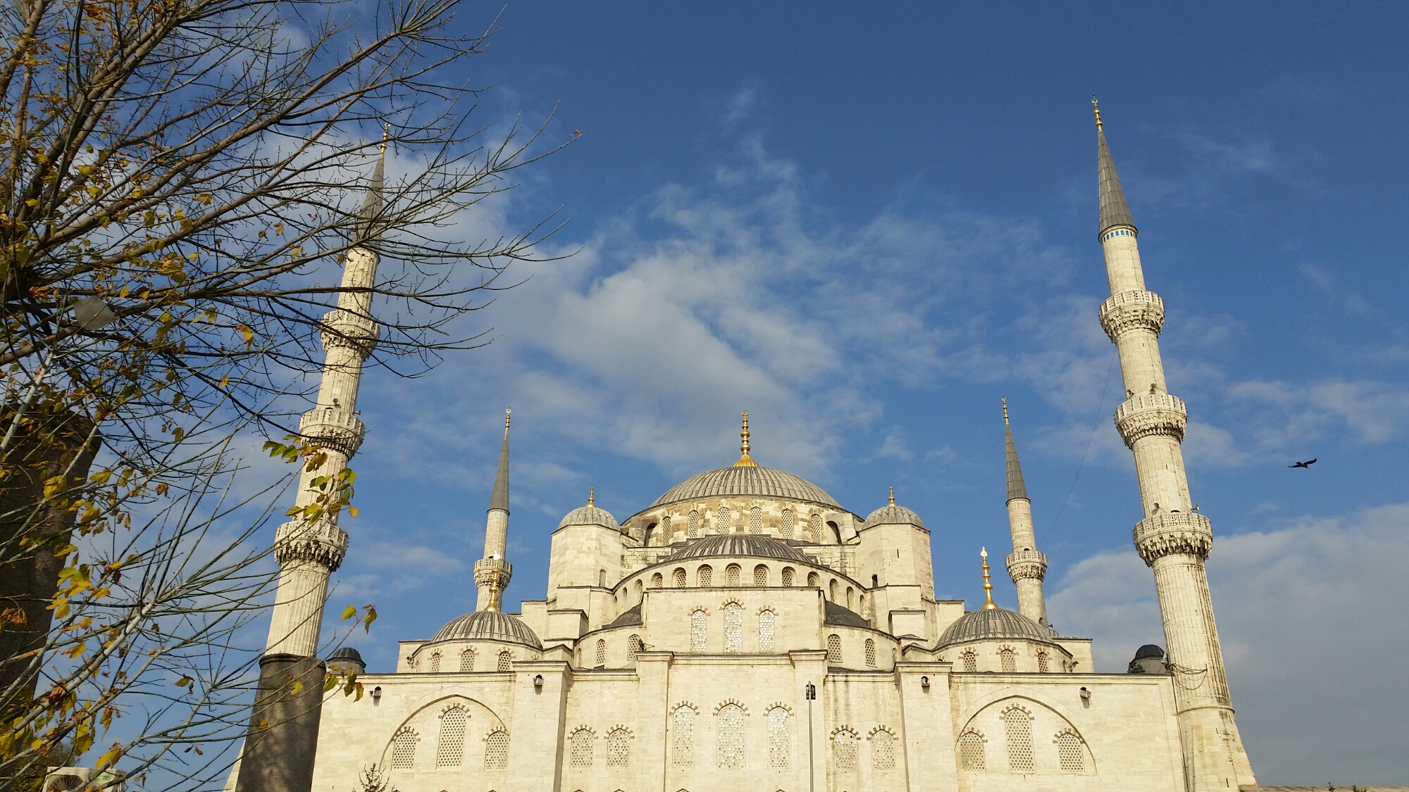 Blue Mosque Charles Saumarez Smith