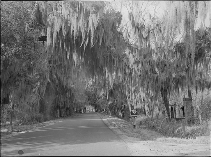 Homes for sale Summerville SC Historic District Summerville SC