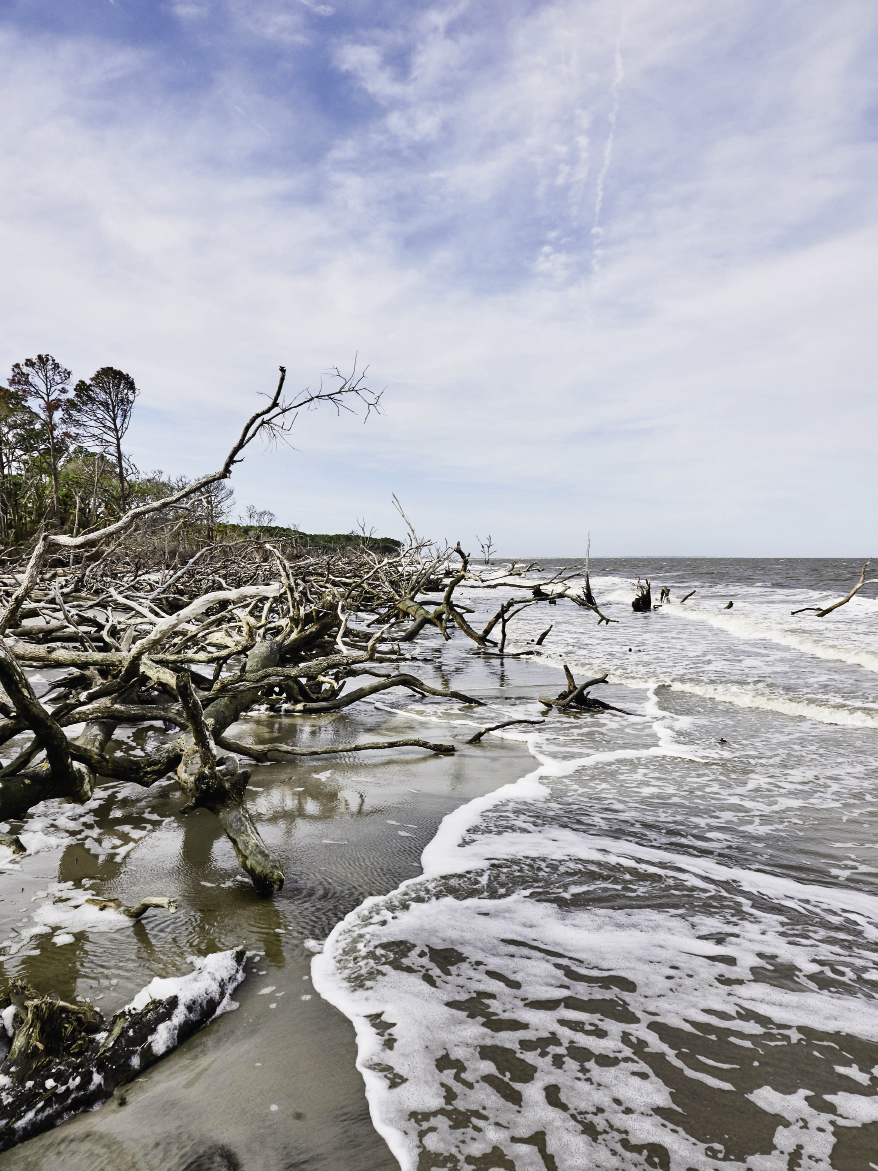 Greenway to the Sea Islands Charleston SC Charleston Magazine