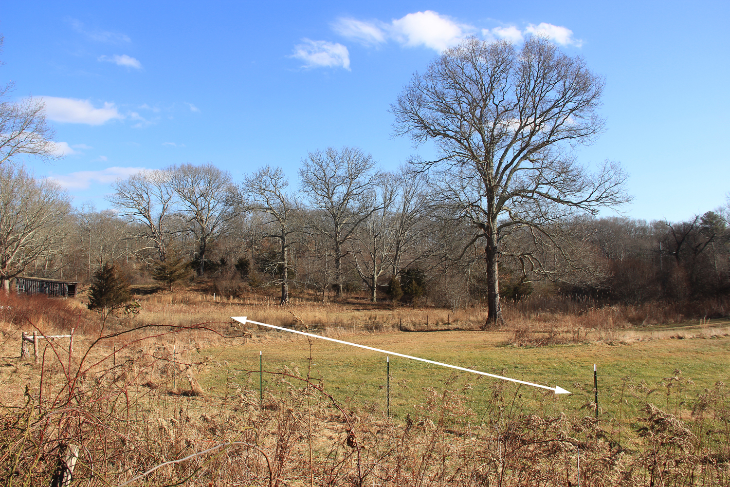 Richmond Also Impacted By New Rail Lines Charlestown Citizens Alliance