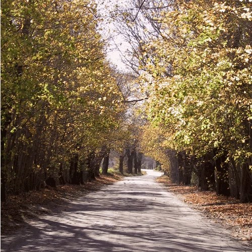 Questions and Answers About Bike Path Planning In Charlestown