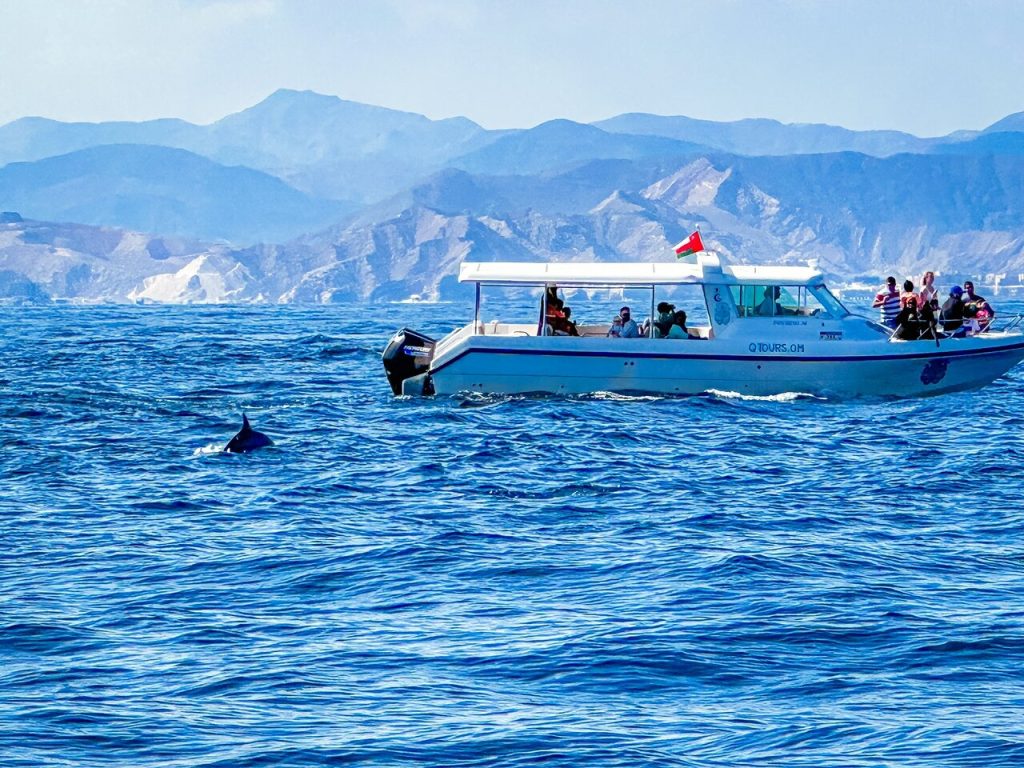 The 4 Best Dolphin Watching Tours In Muscat, Oman