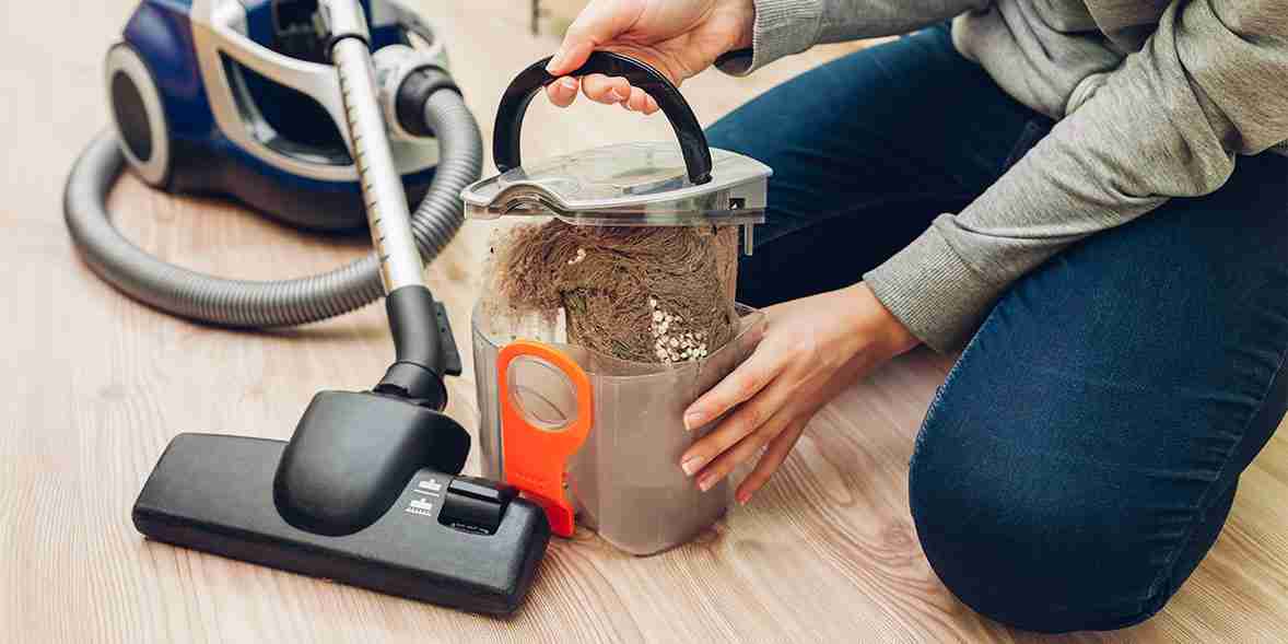 Are Bagless Vacuums Better than Bagged?