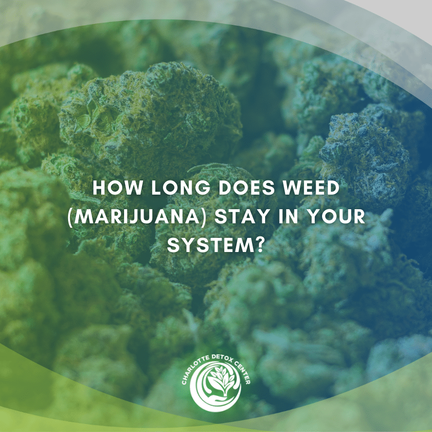 How Long Does Weed (Marijuana) Stay in Your System?