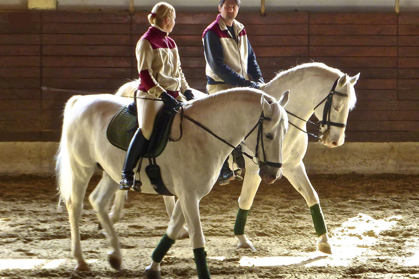 Charlottesville Equestrian Properties Horse Farms For Sale