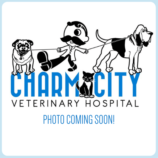 Baltimore, MD 21224 Veterinarians Charm City Veterinary Hospital