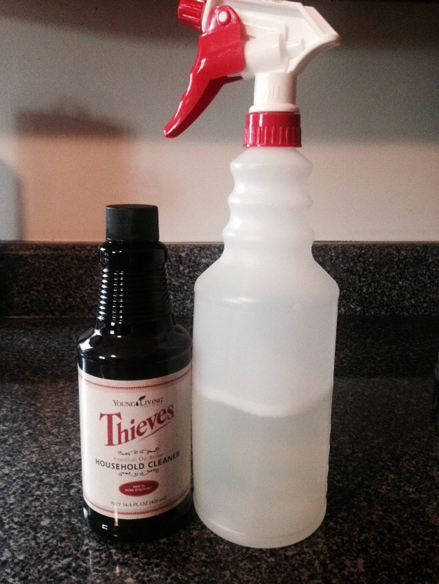 Young Living Thieves Cleaner Charming Charis