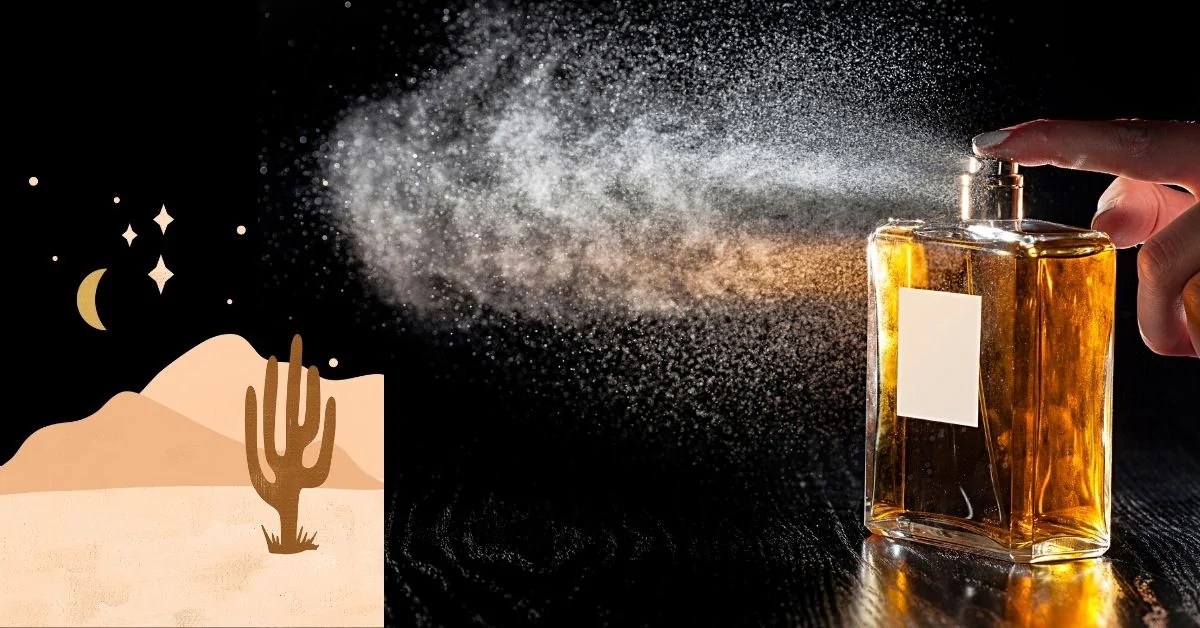 The Best Amber Perfume 2023 [Top 7 Fragrances]