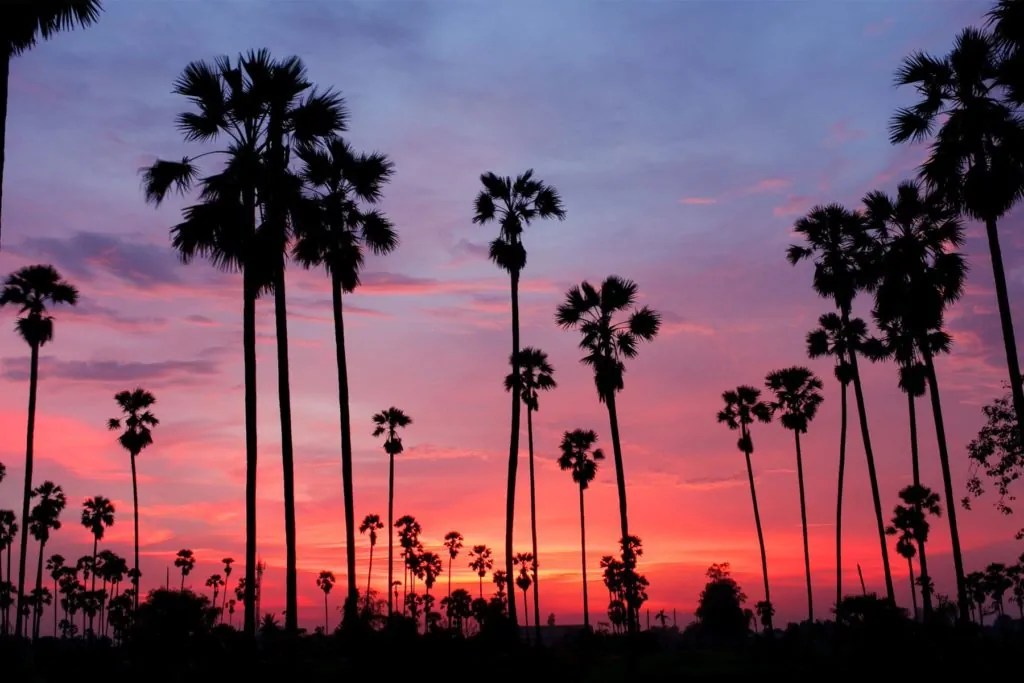 The Best Time to Visit Palm Springs, CA Chart Attack