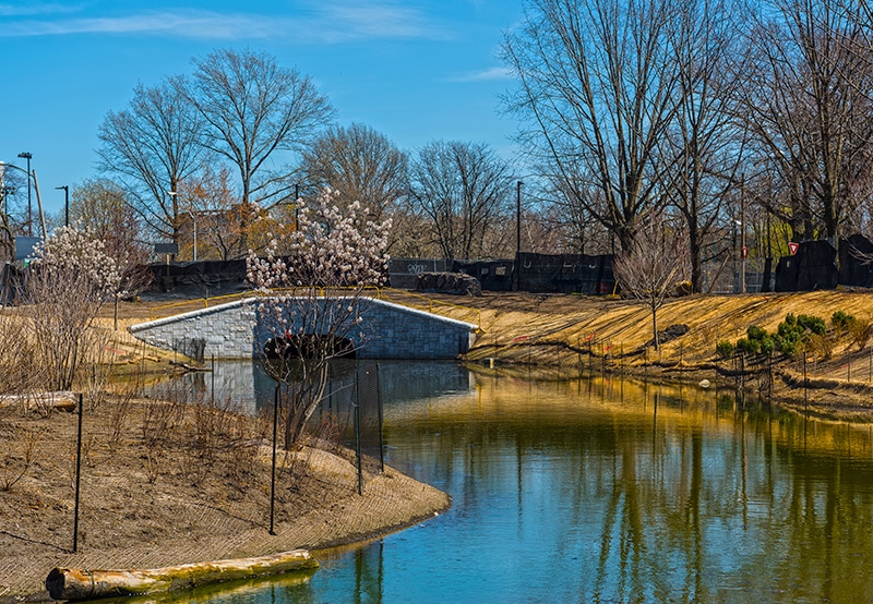 Muddy River Flood Risk & Restoration, Civil Construction Project Charter