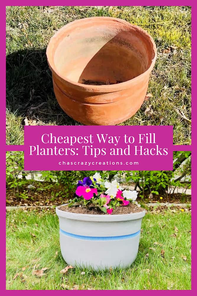Cheapest Way to Fill Planters Tips and Hacks Chas' Crazy Creations