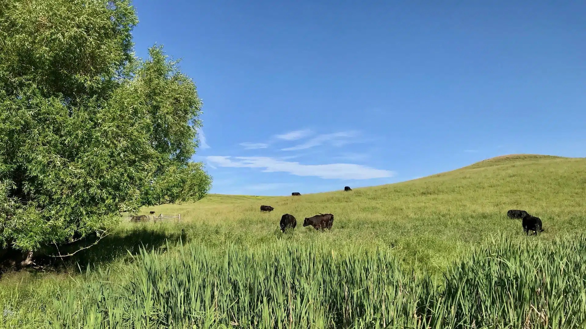 Wagner Ranch Chase Brothers Land & Ranch