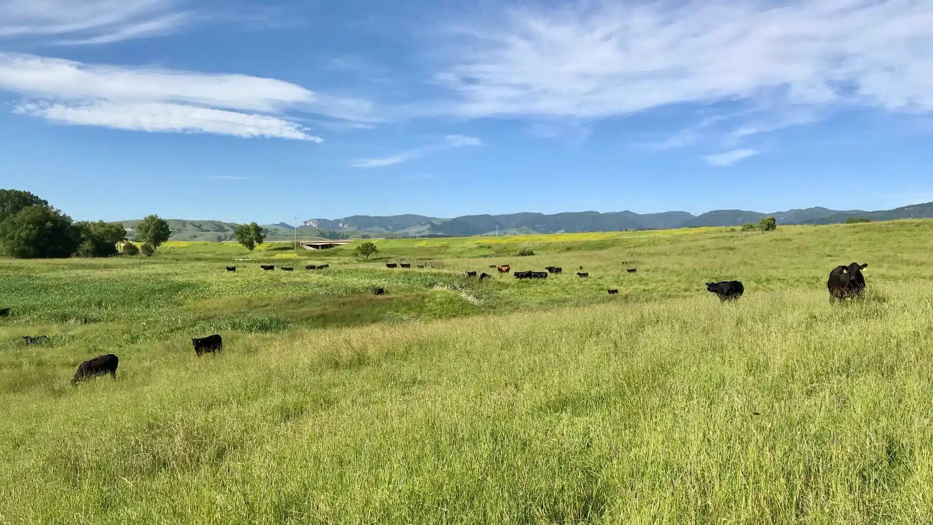 Wagner Ranch Chase Brothers Land and Ranch