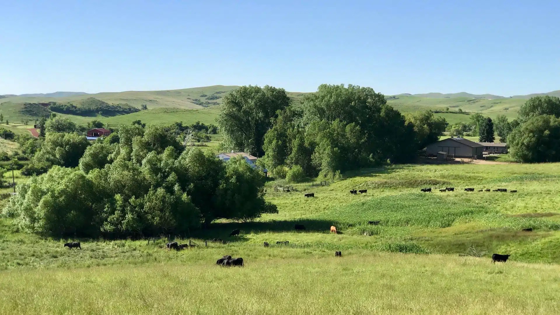Wagner Ranch Chase Brothers Land and Ranch