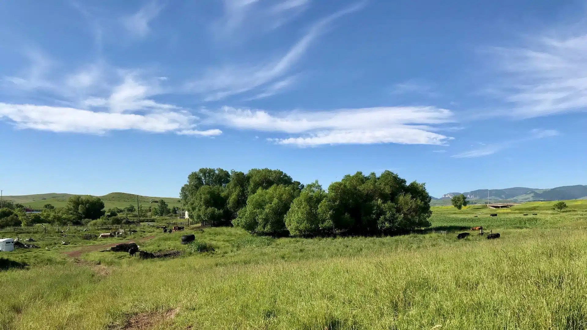 Wagner Ranch Chase Brothers Land and Ranch