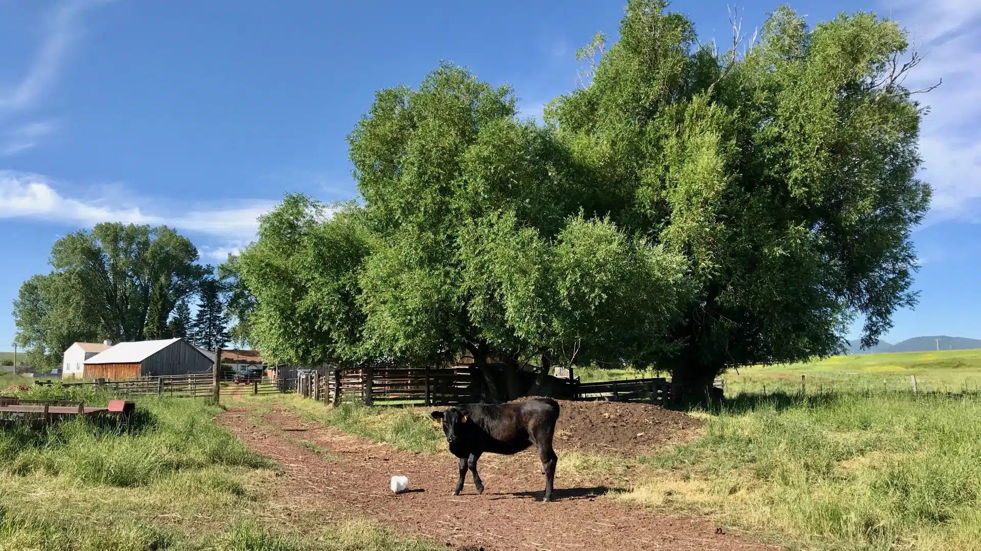 Wagner Ranch Chase Brothers Land and Ranch