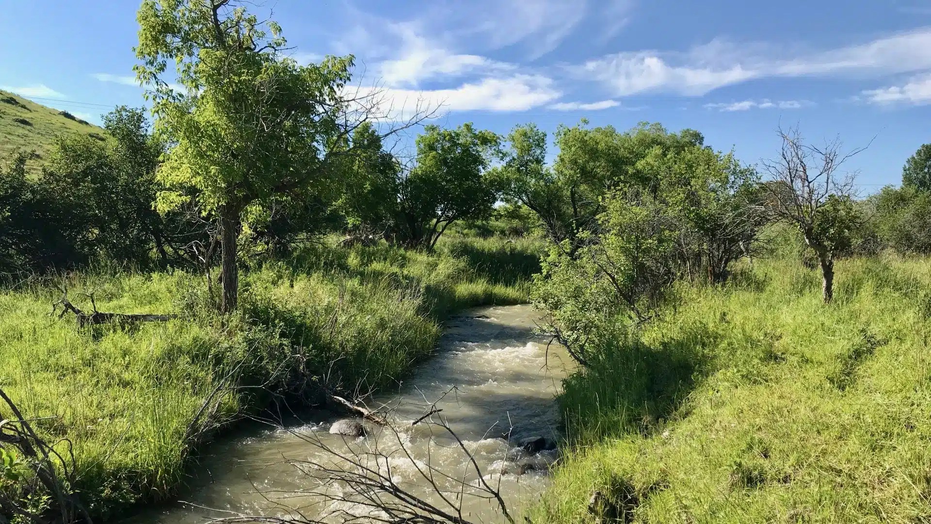 Wagner Ranch Chase Brothers Land & Ranch