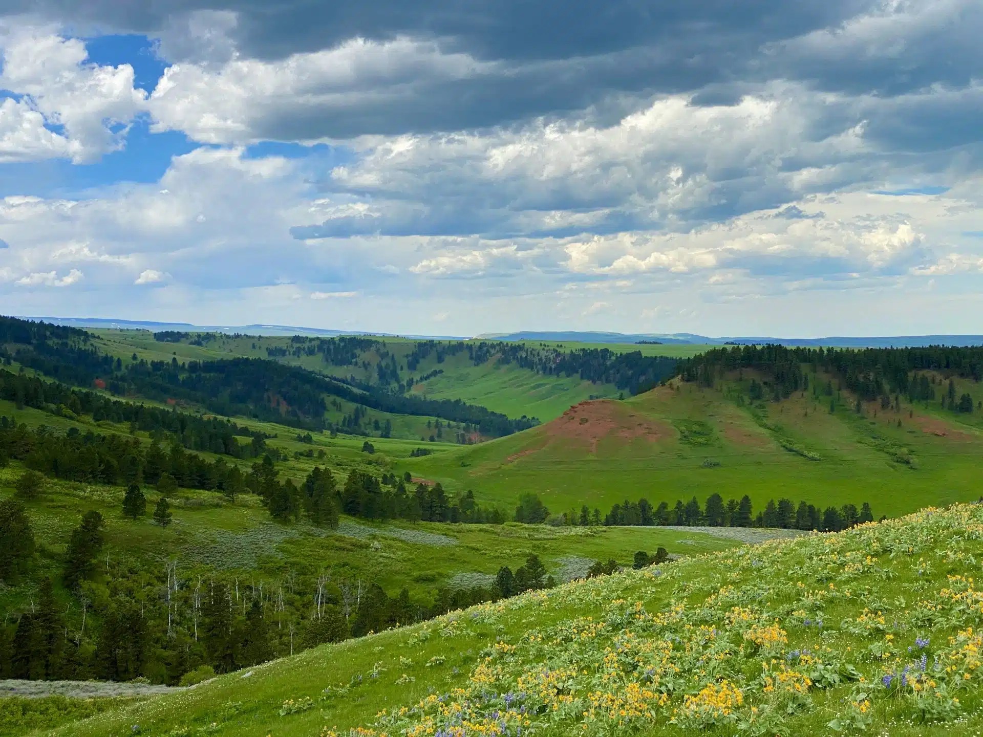 Sheridan Wyoming Chase Brothers Land and Ranch
