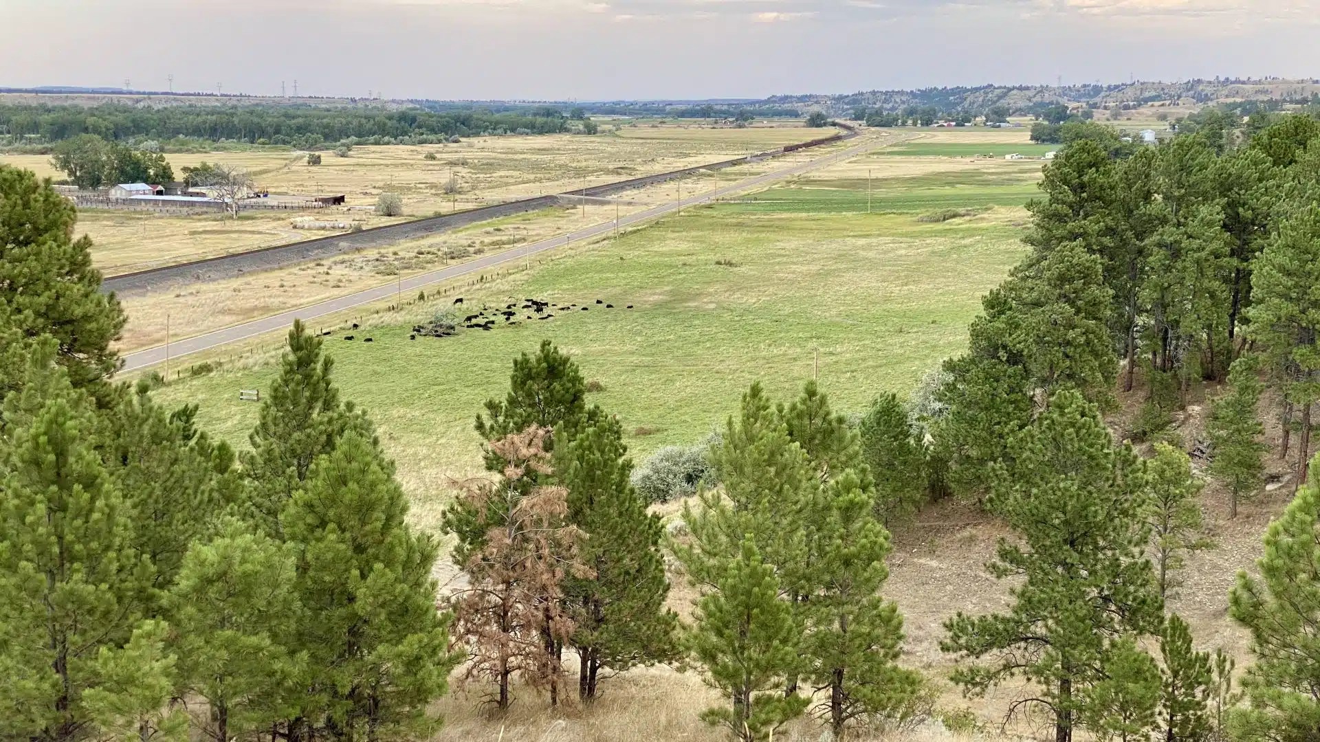 J&M Yellowstone Valley Land Chase Brothers Land and Ranch