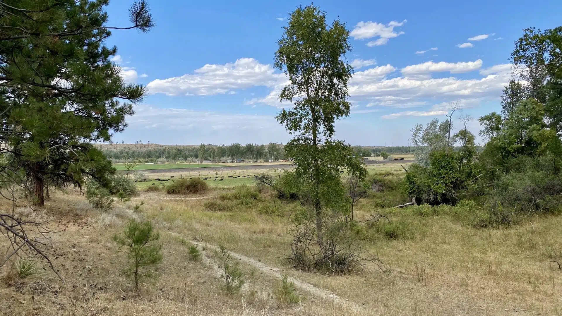 J&M Yellowstone Valley Land Chase Brothers Land and Ranch