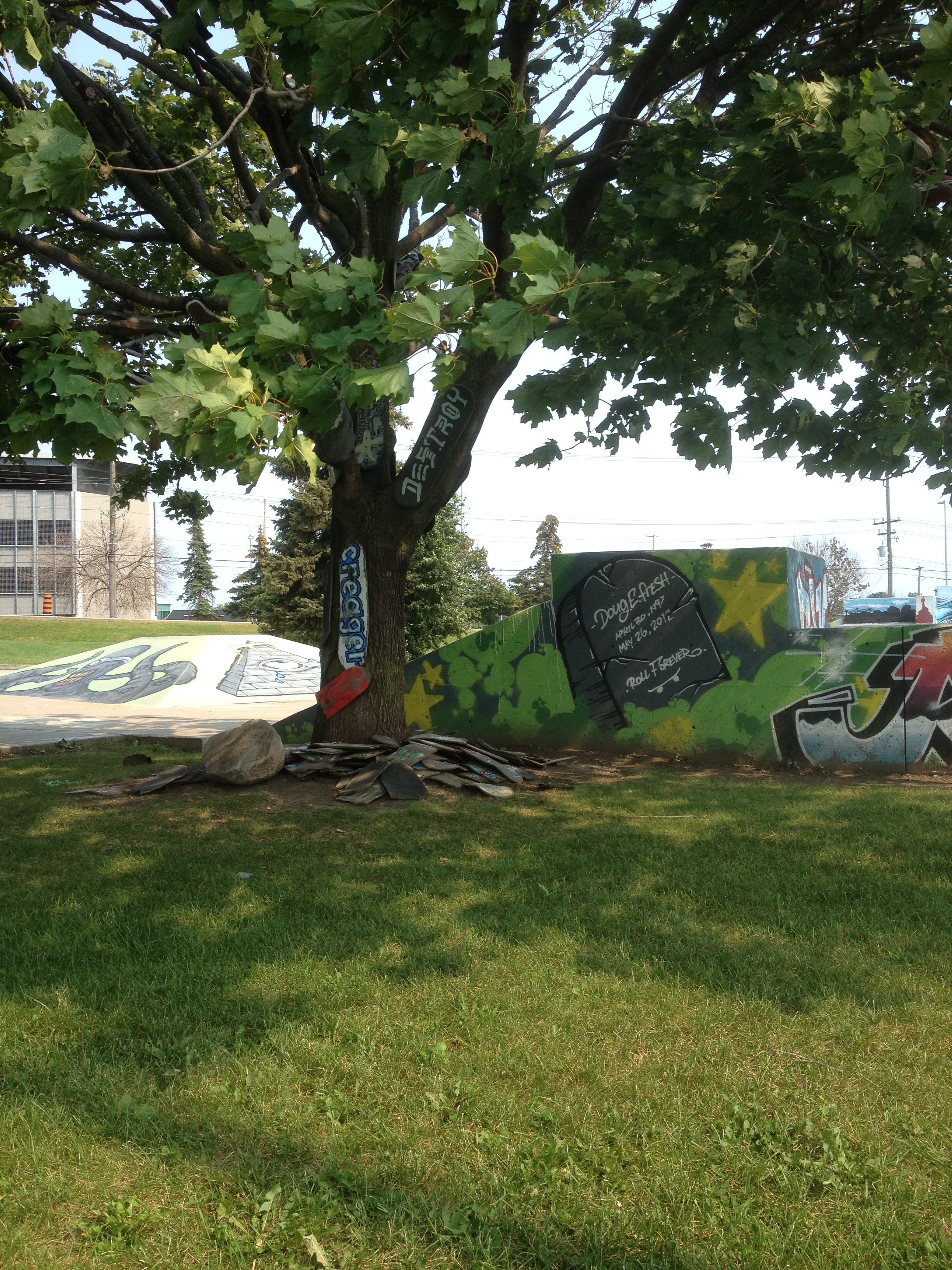 Iroqouis Skatepark Whitby Chase March