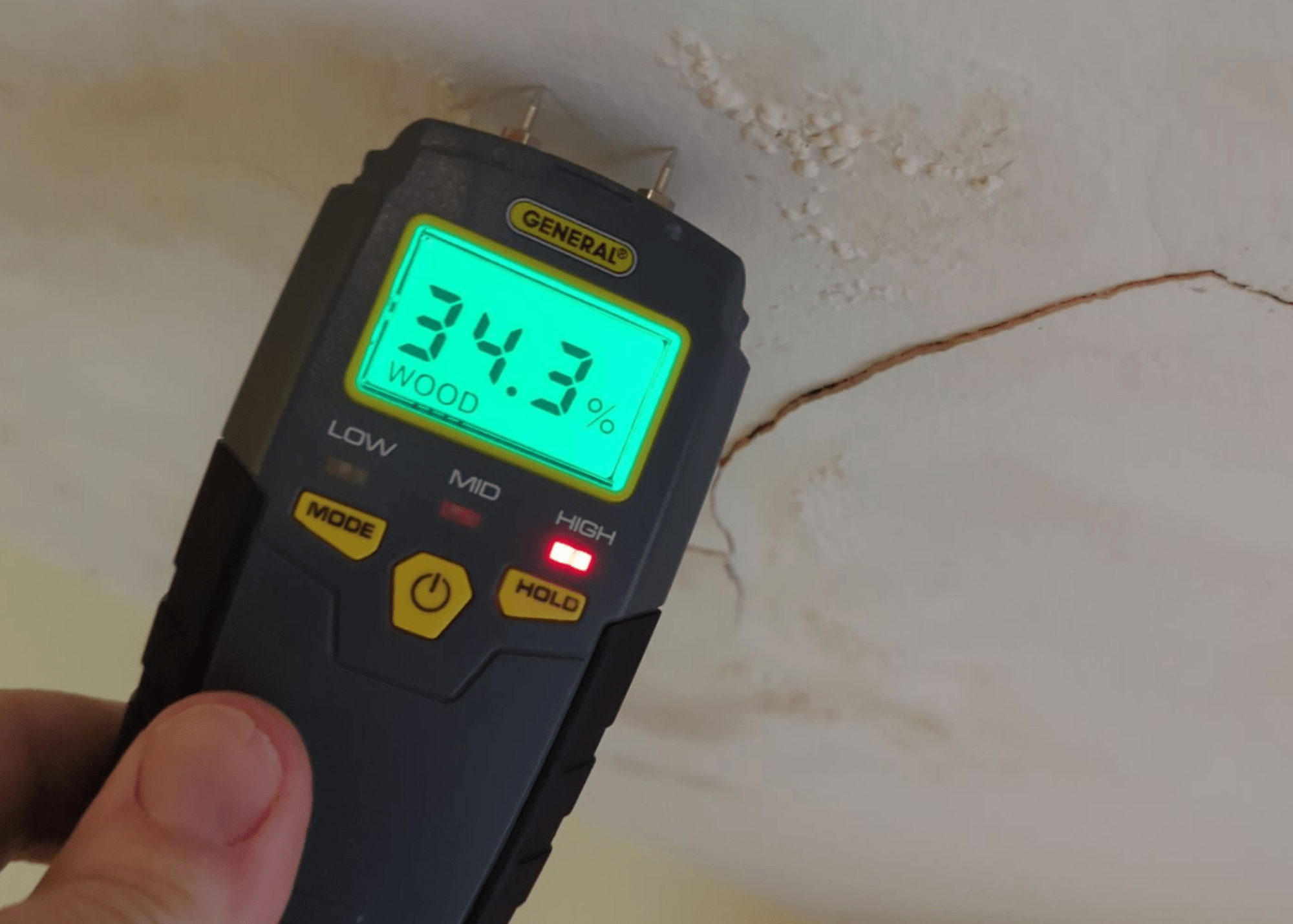 Termite Repair Contractor South Florida | Termite Repair Services