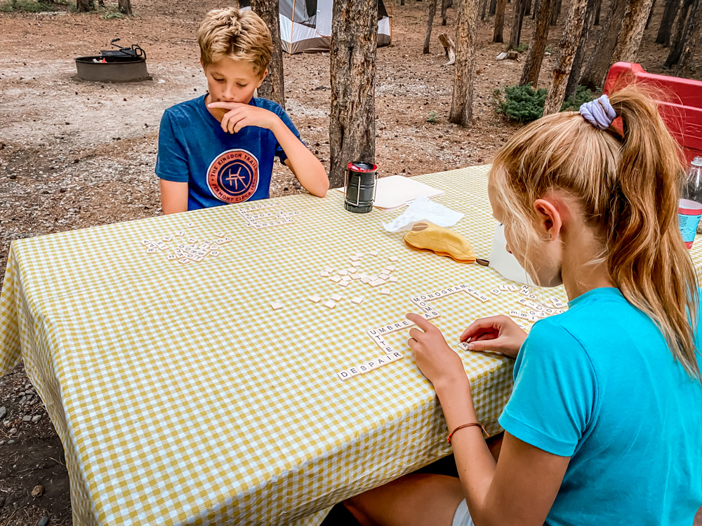 The 20 Best Board Game for Travel and About Travel Chasing ADVNTR