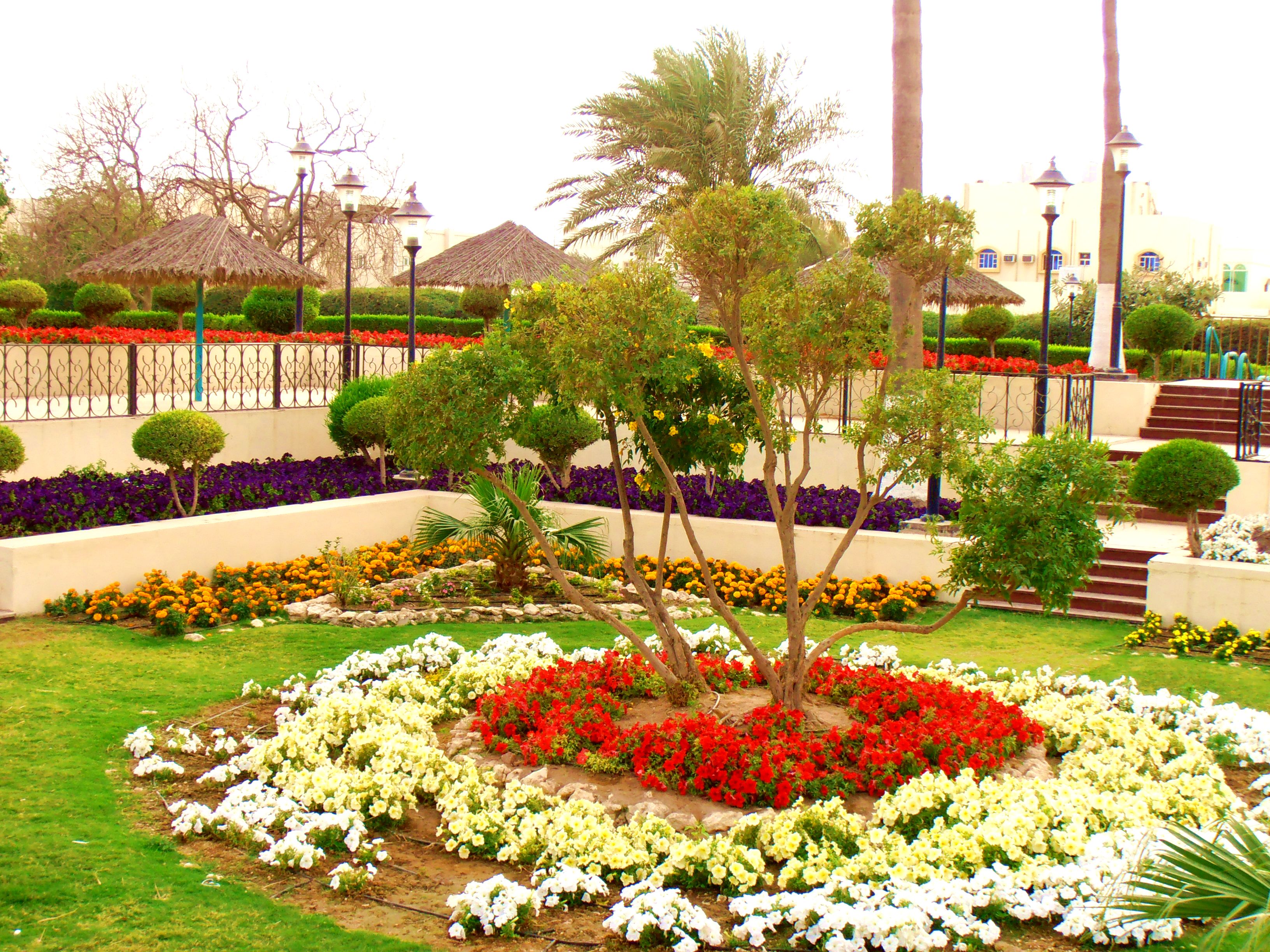 Doha, Qatar MiniBling Travelogue Al Wakrah Al Khor