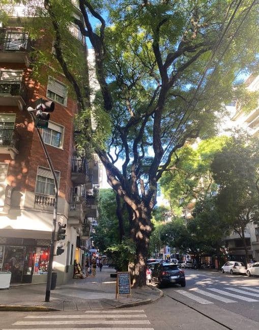 Is Buenos Aires Walkable? Safety, Neighbourhoods, Walking Tours & More