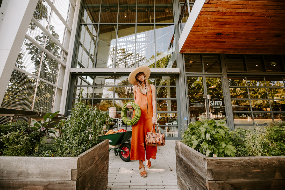 Where to The Healdsburg SHED ChasingKendall