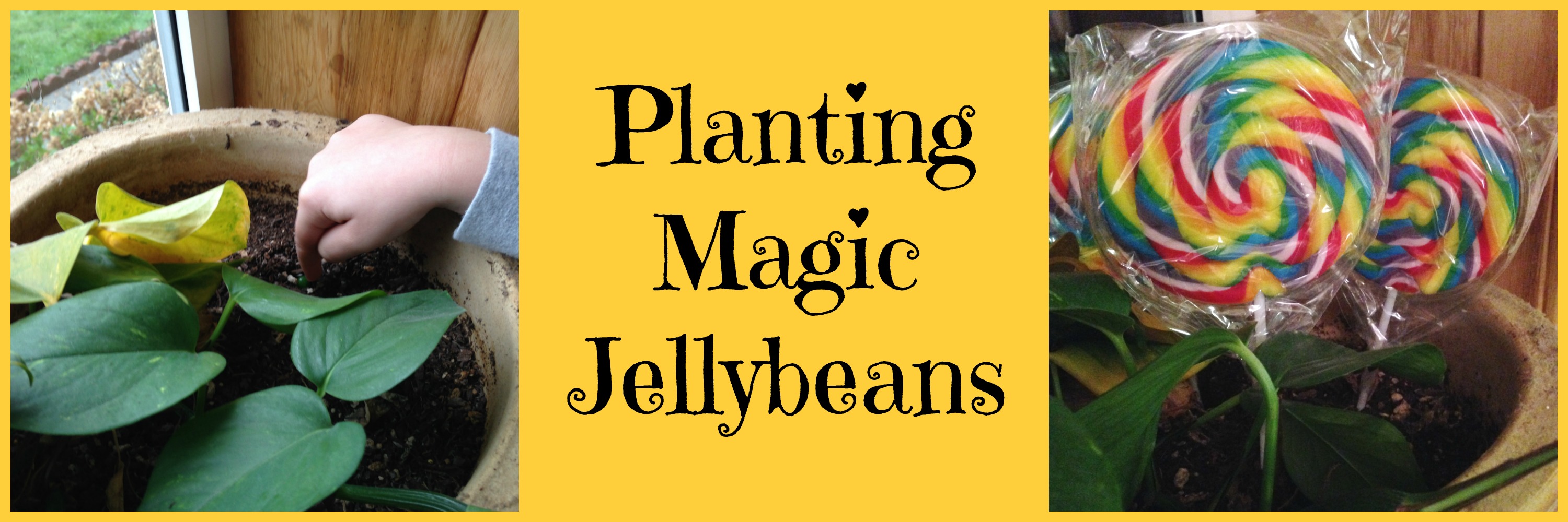 Planting Magic Jellybeans Fun and Easy Easter Tradition for Kids