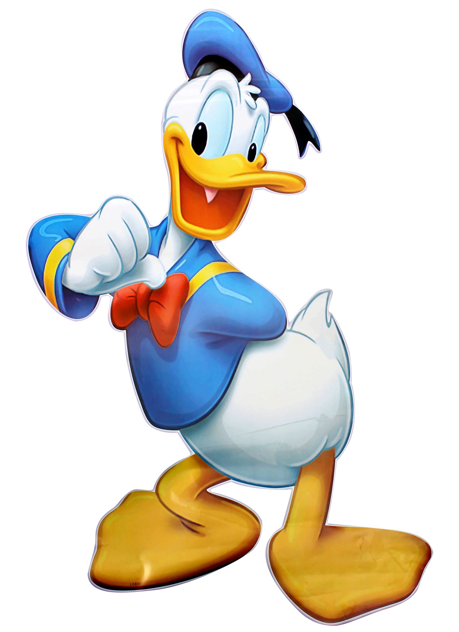 Donald Duck chasingtheturtle